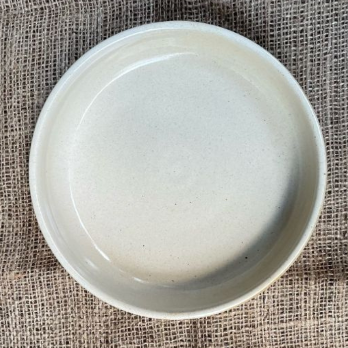 Penne Pasta Plate