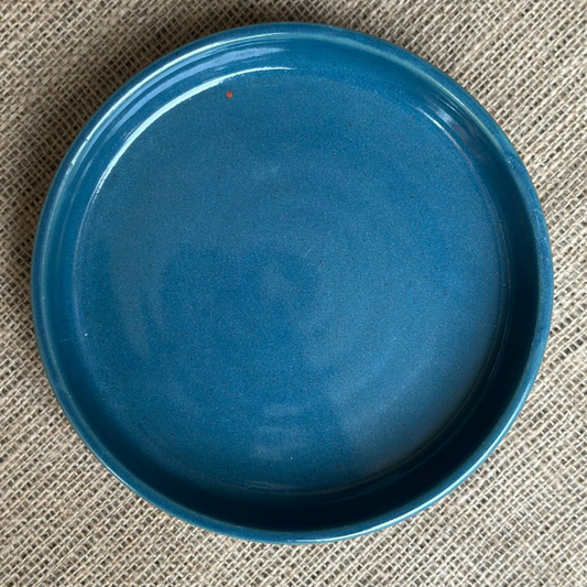 Teal Pasta Plate