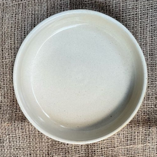 Penne Pasta Plate
